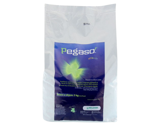 PEGASO F 1 kg